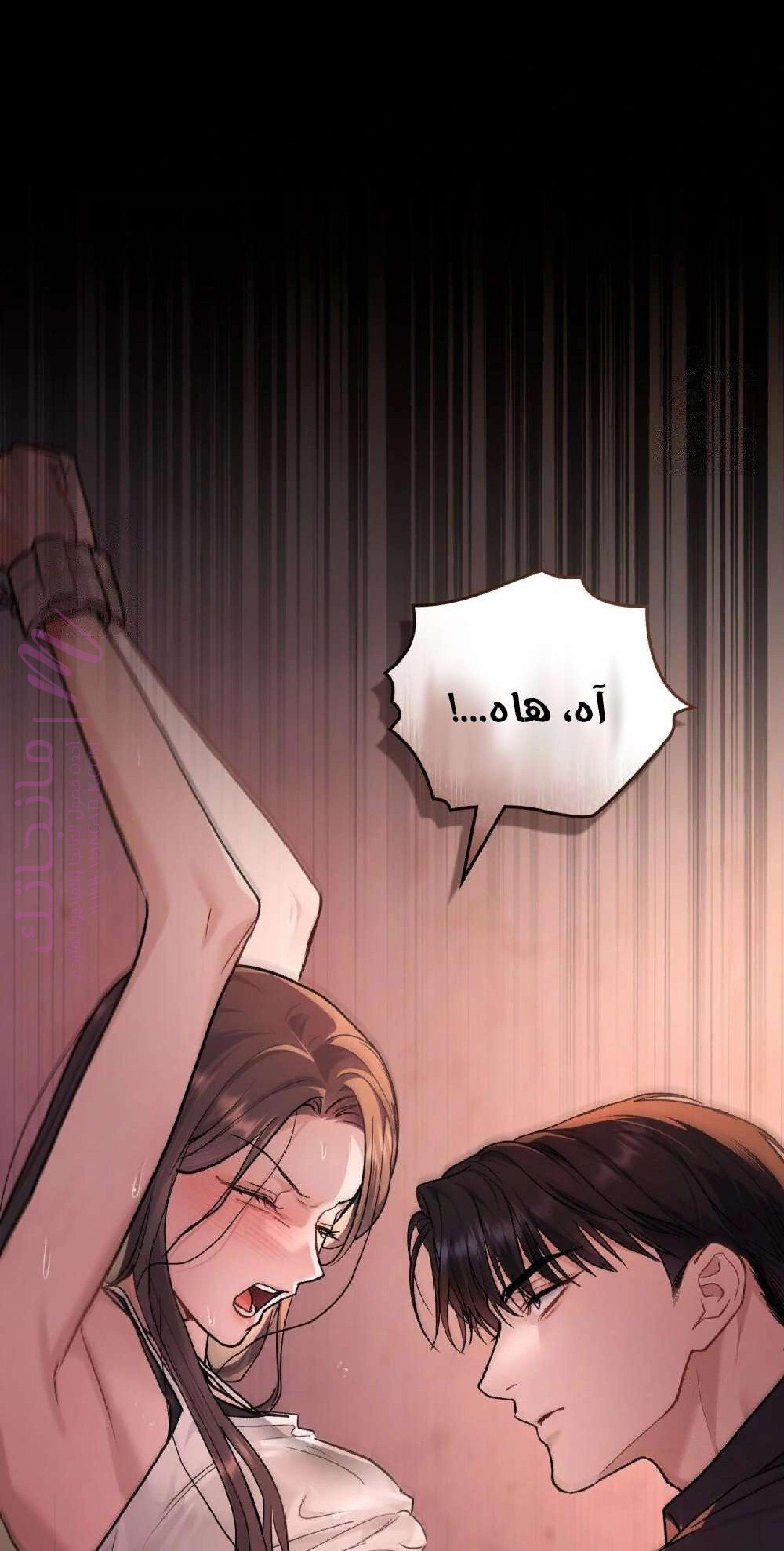 الصفحة 25