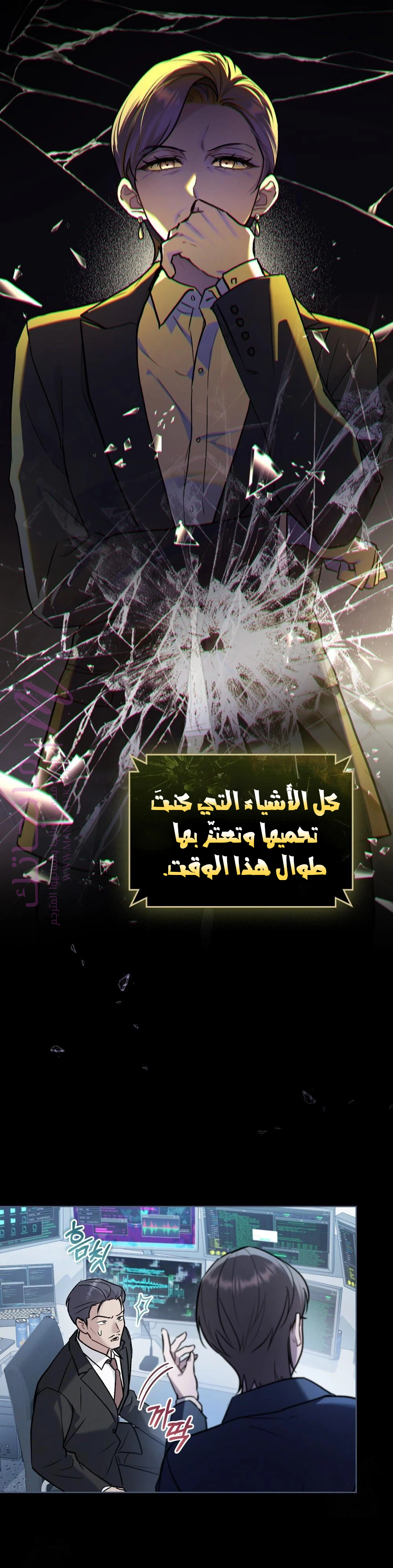 الصفحة 17
