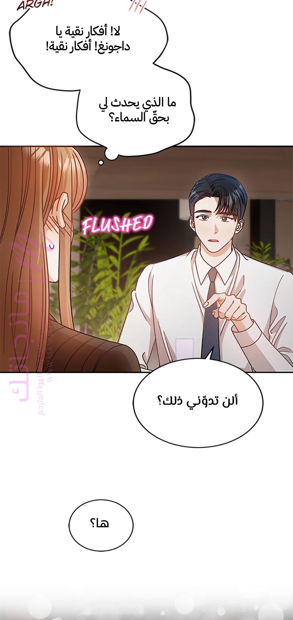 الصفحة 17