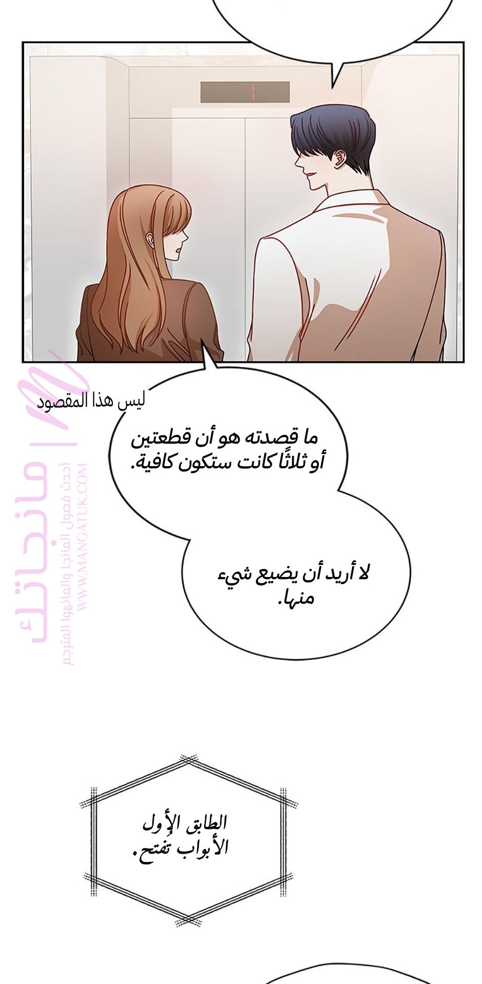 الصفحة 41