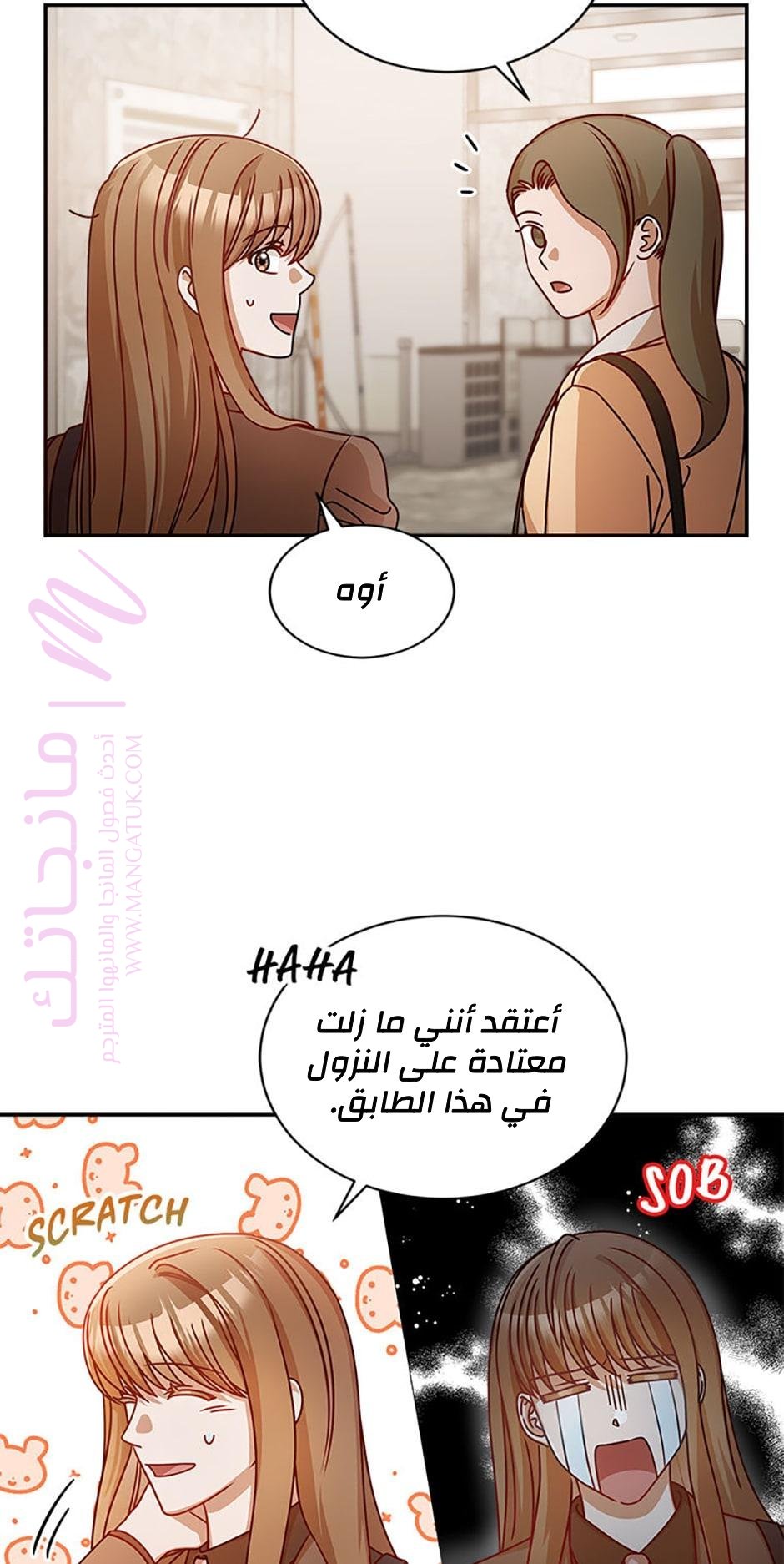 الصفحة 17