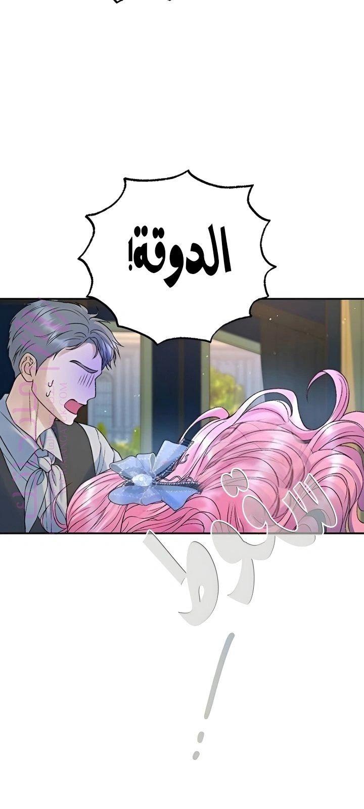 الصفحة 29
