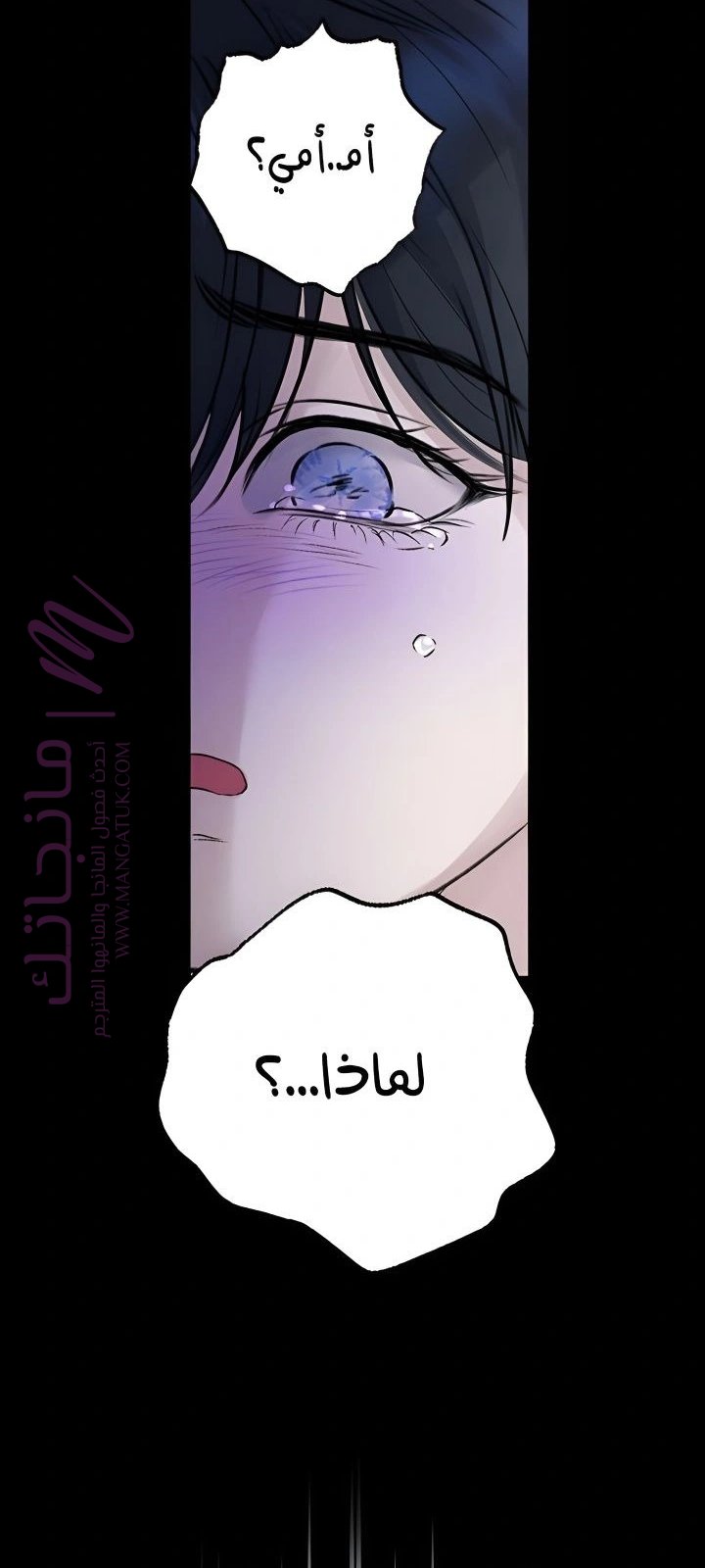 الصفحة 51