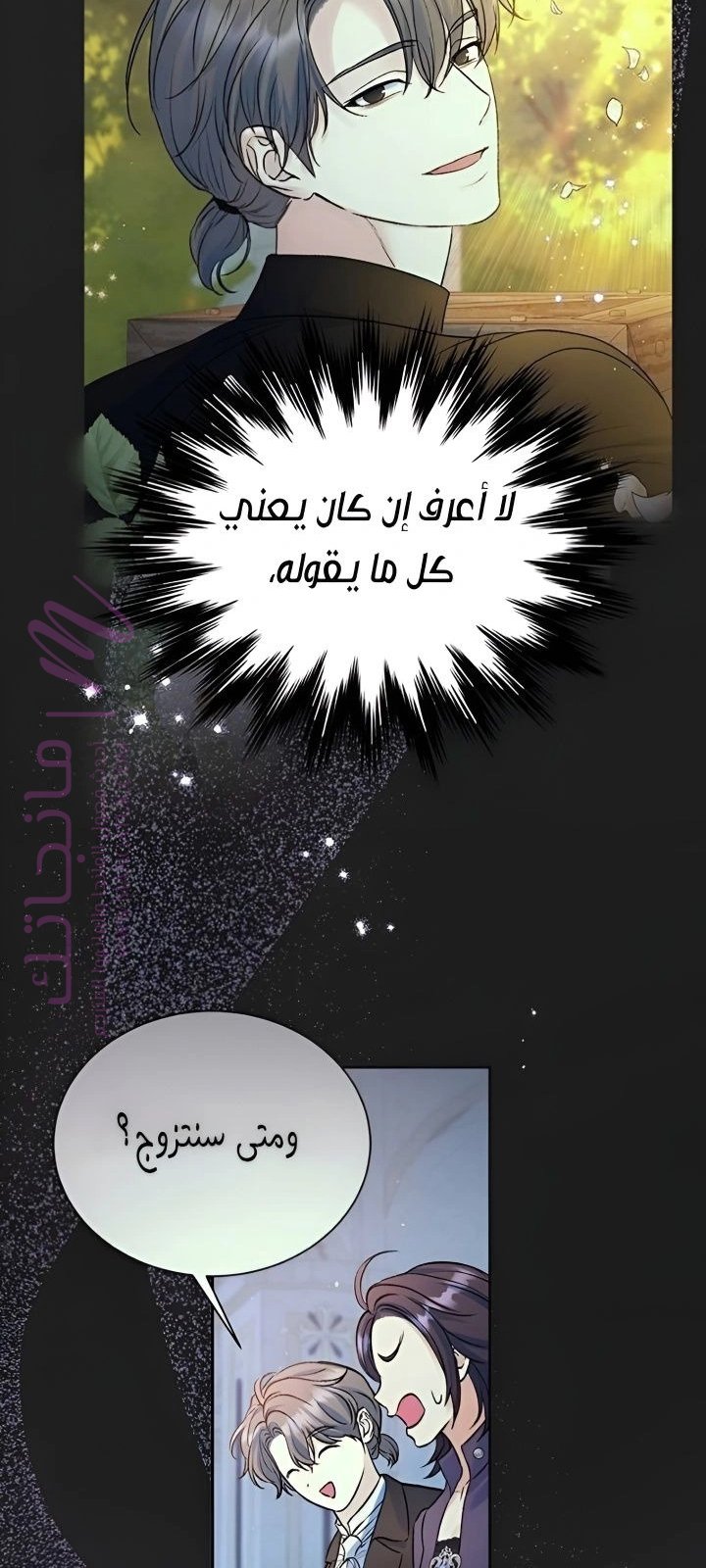 الصفحة 26