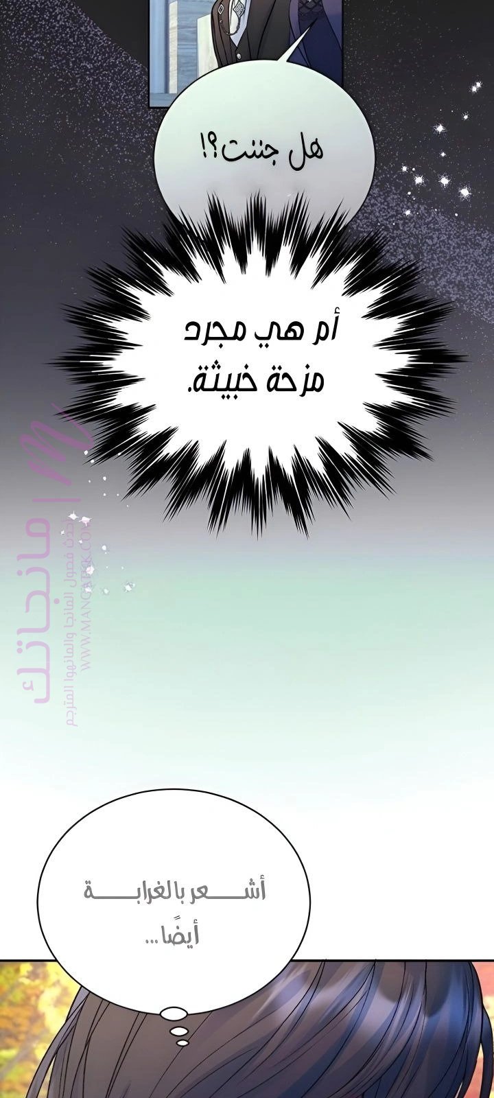 الصفحة 27