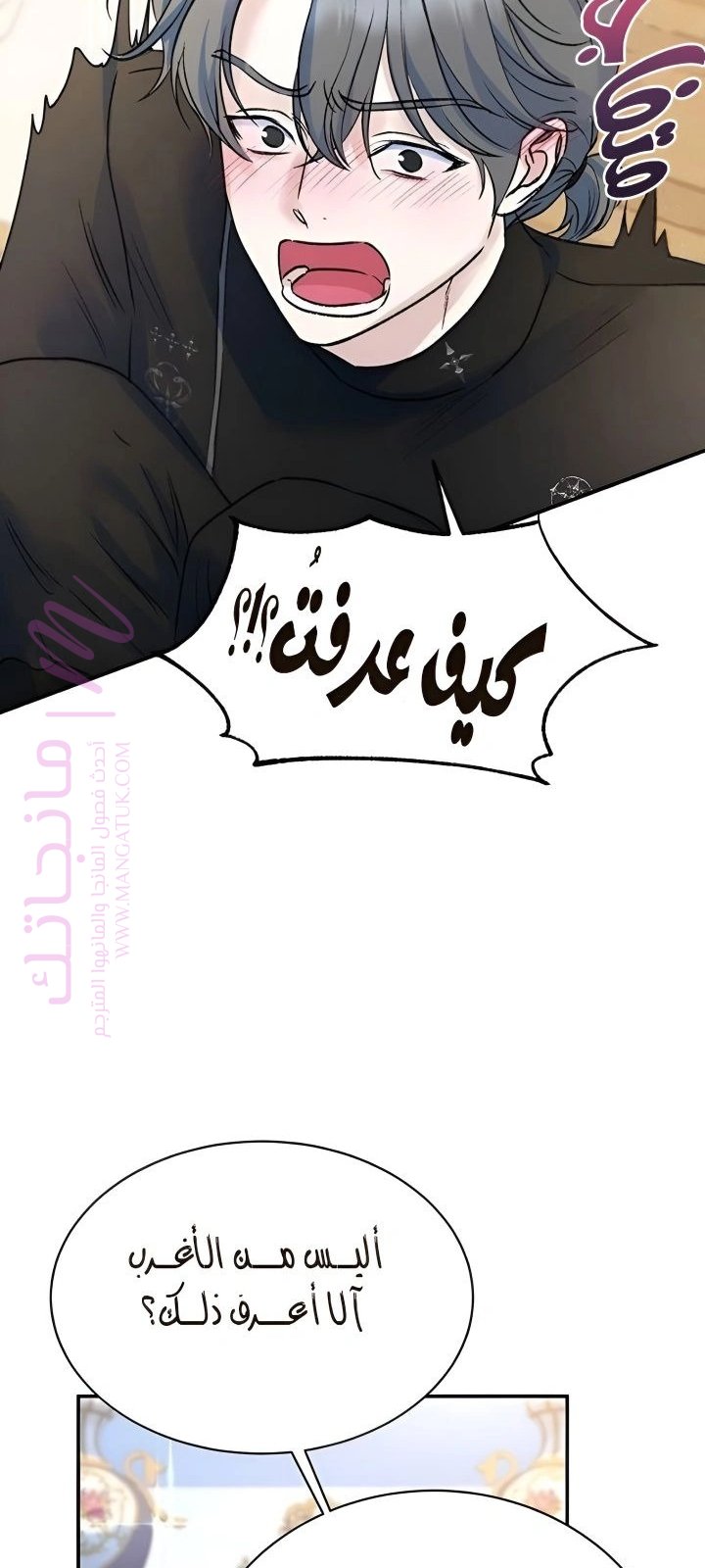 الصفحة 41