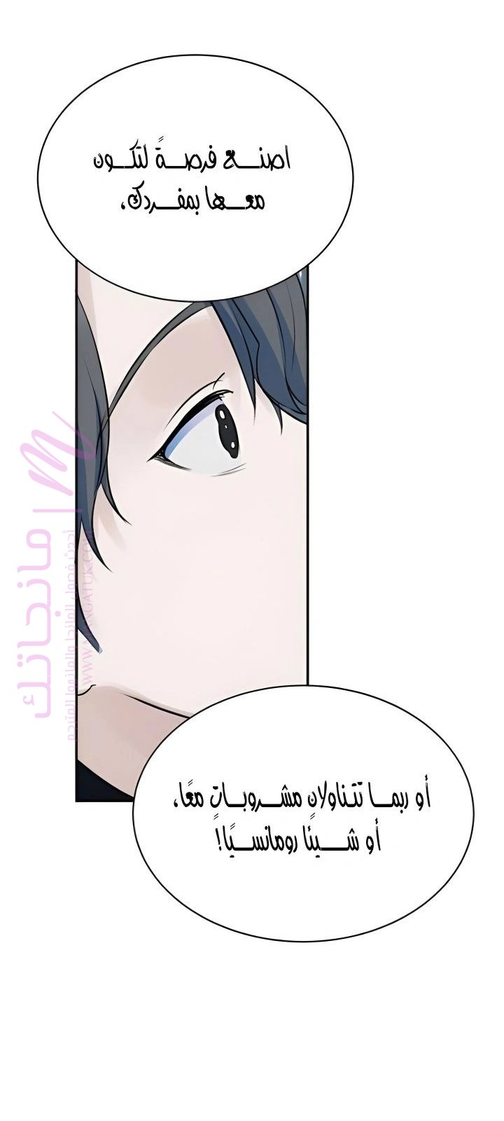 الصفحة 52