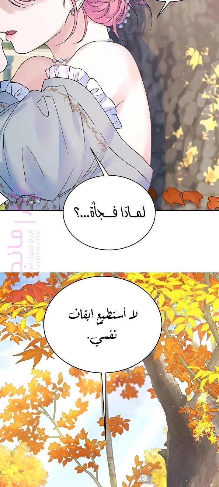 الصفحة 61
