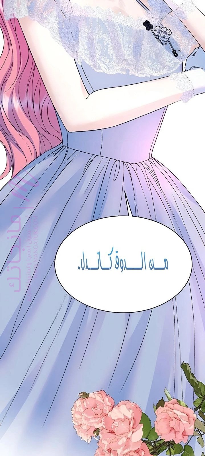 الصفحة 46