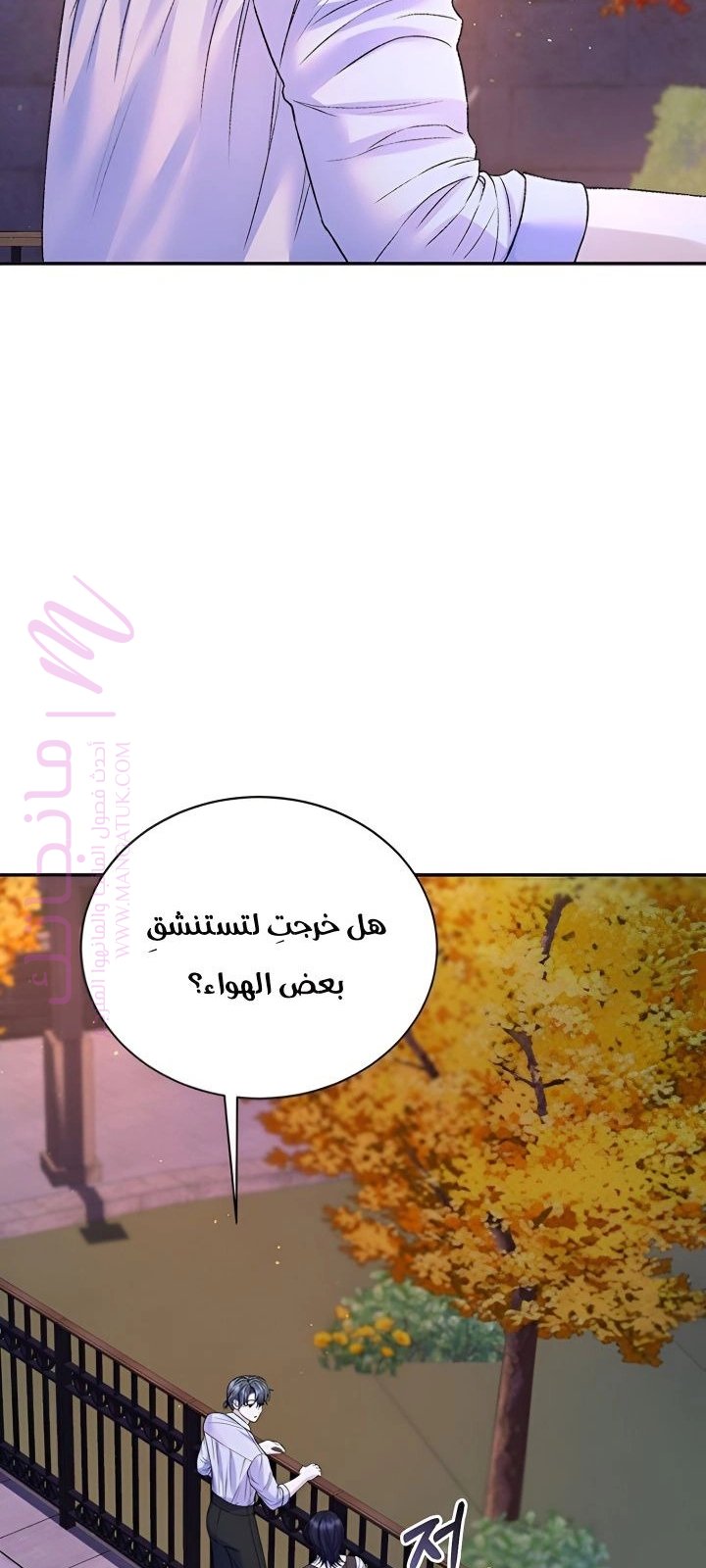 الصفحة 27
