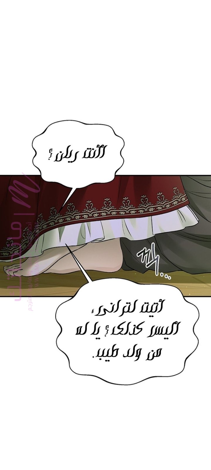 الصفحة 25