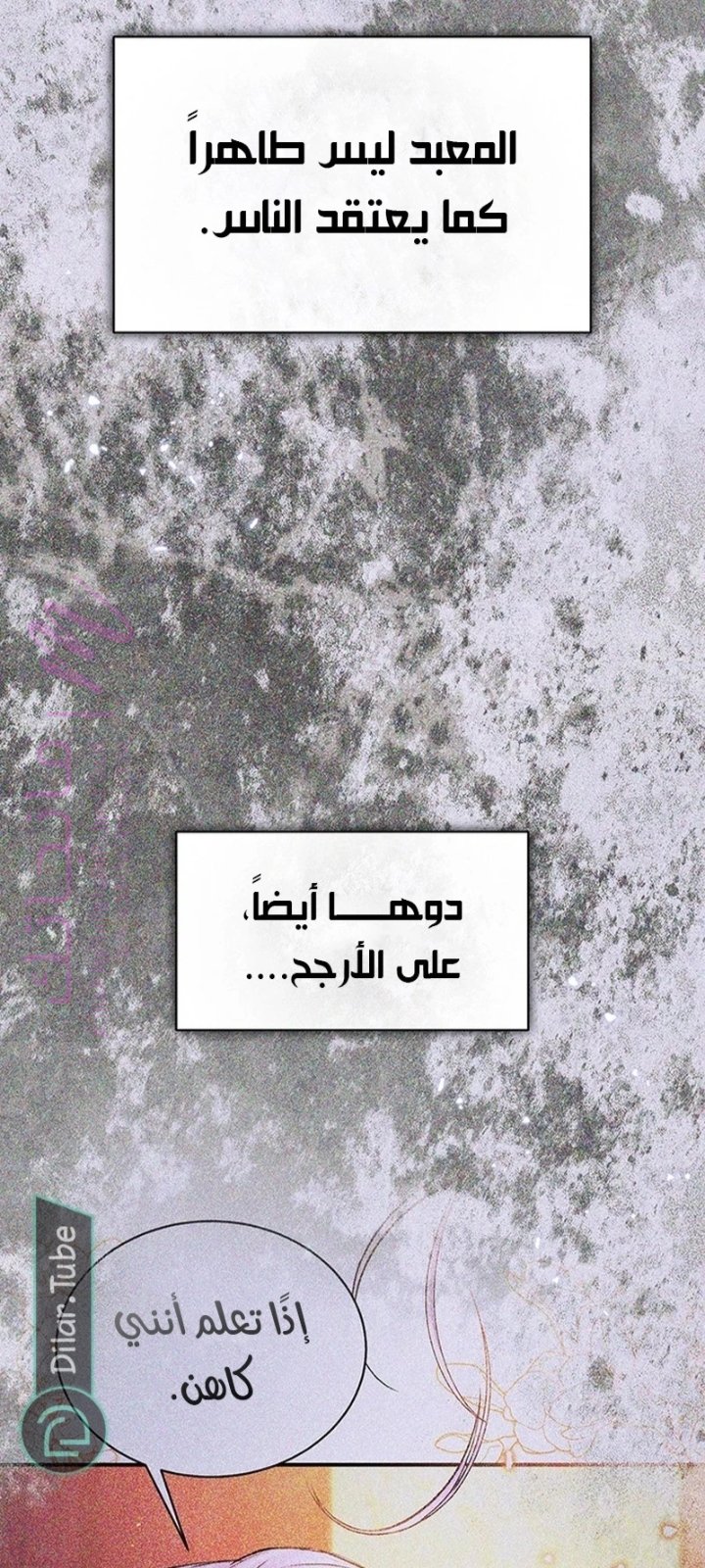 الصفحة 40