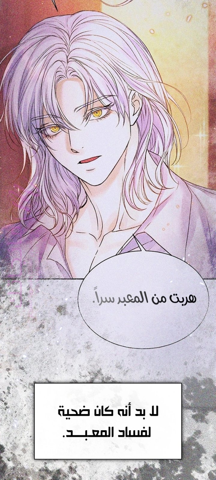الصفحة 41