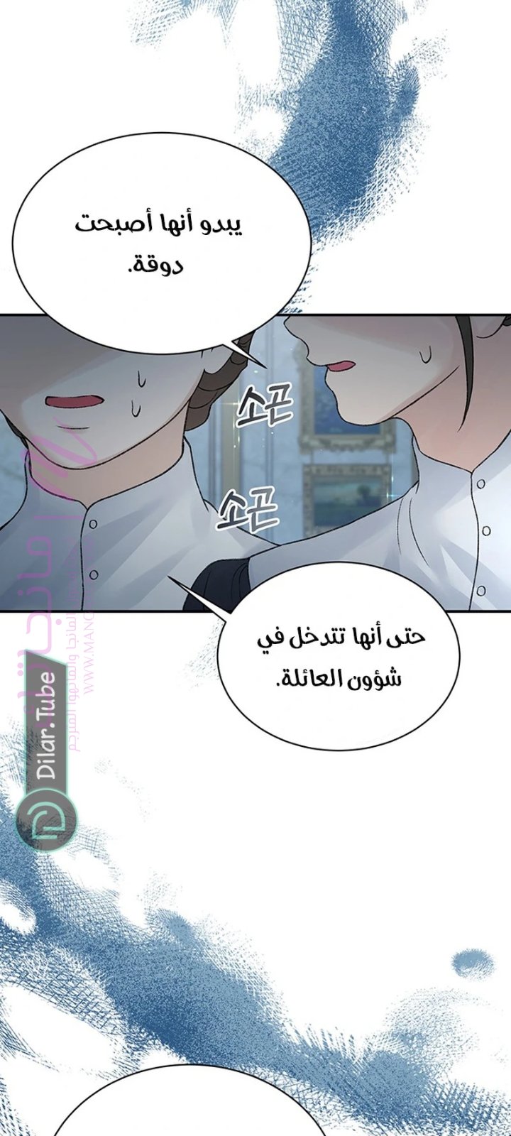 الصفحة 25