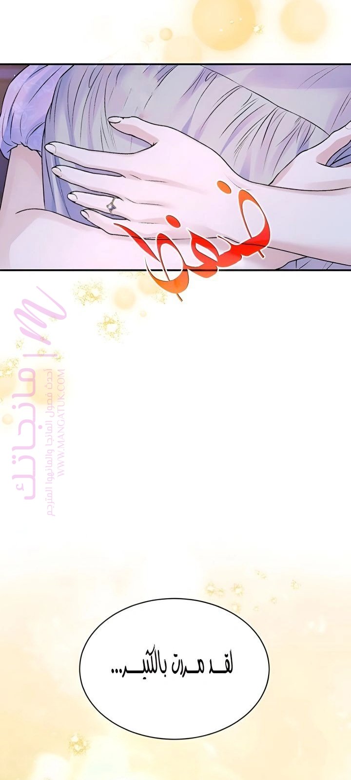 الصفحة 27