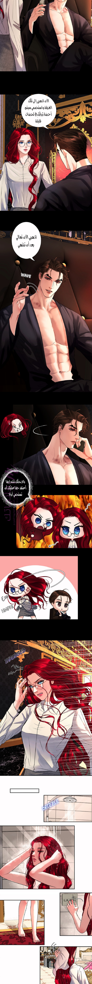 الصفحة 7