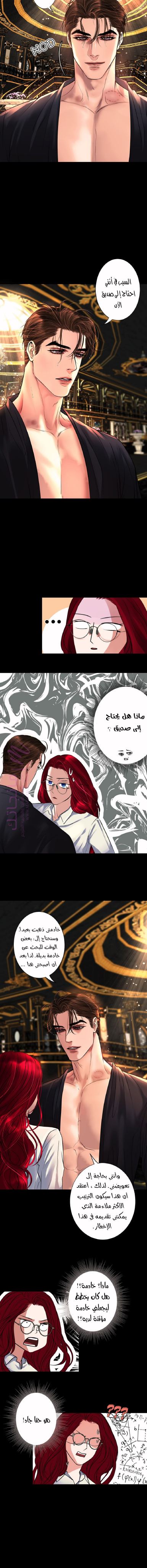 الصفحة 3