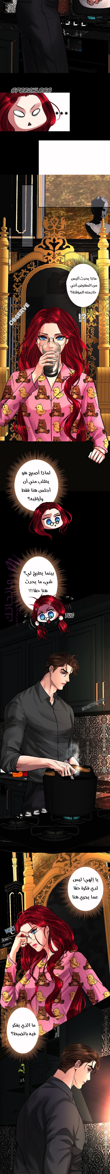 الصفحة 6