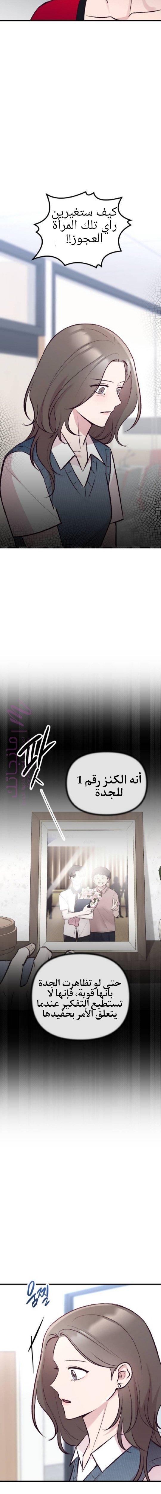 الصفحة 13
