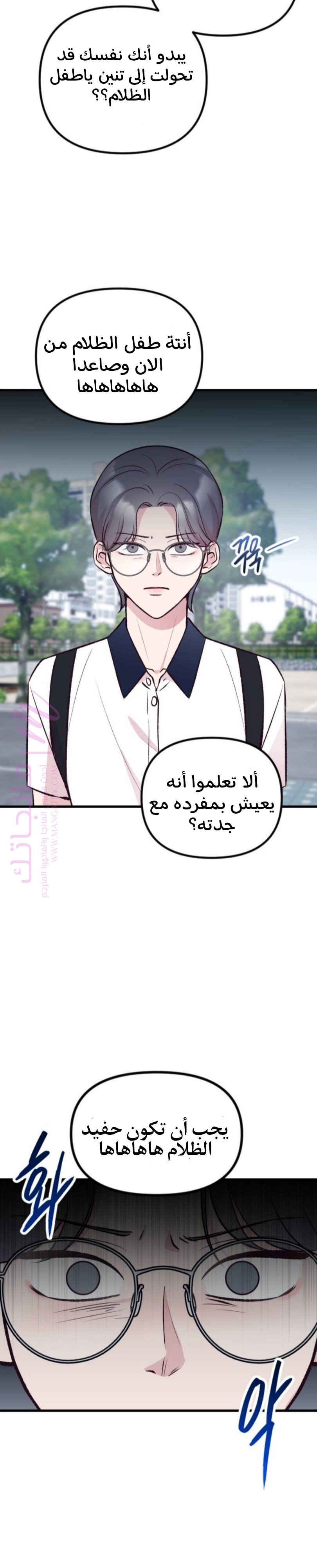 الصفحة 20