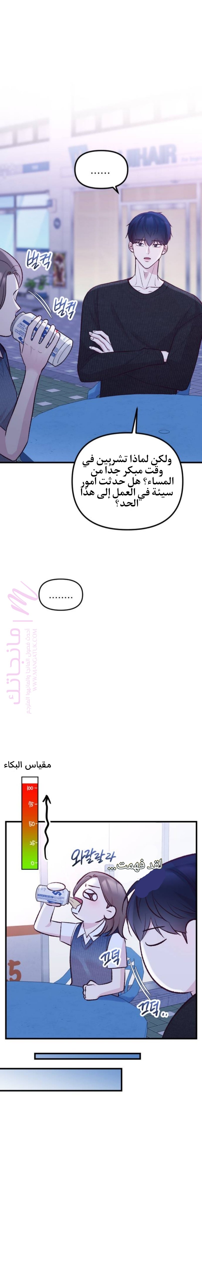 الصفحة 22