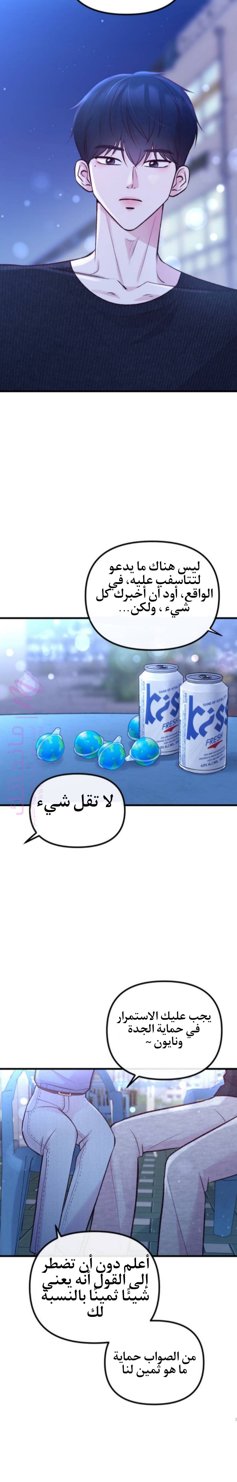 الصفحة 29