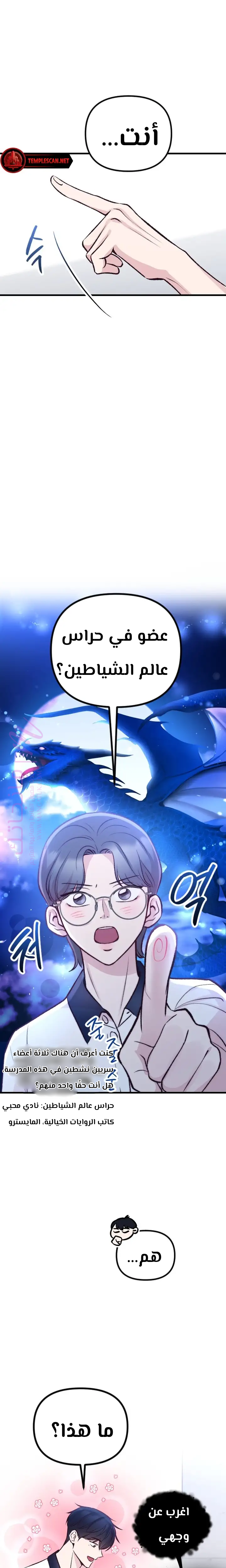 الصفحة 13