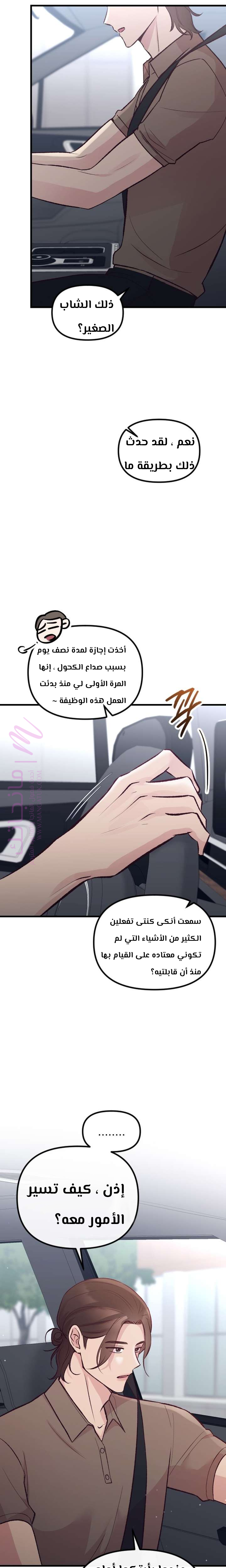 الصفحة 20