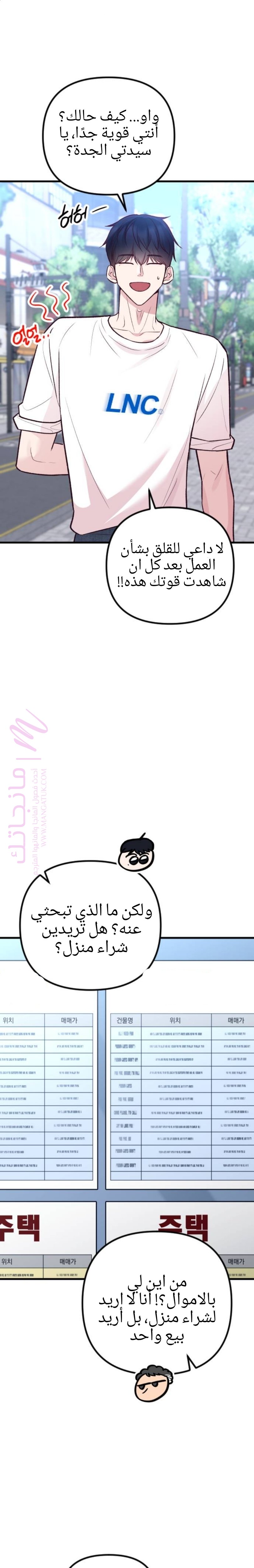 الصفحة 29