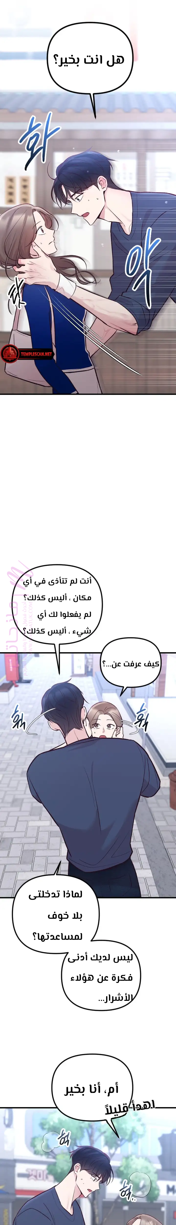 الصفحة 17