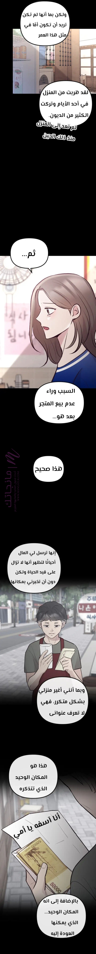 الصفحة 27