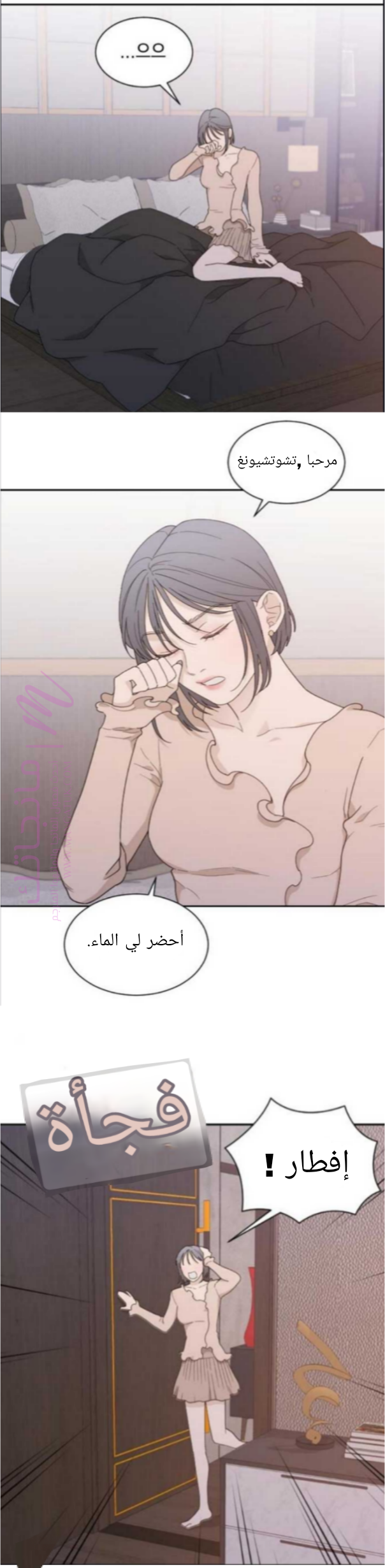 الصفحة 2