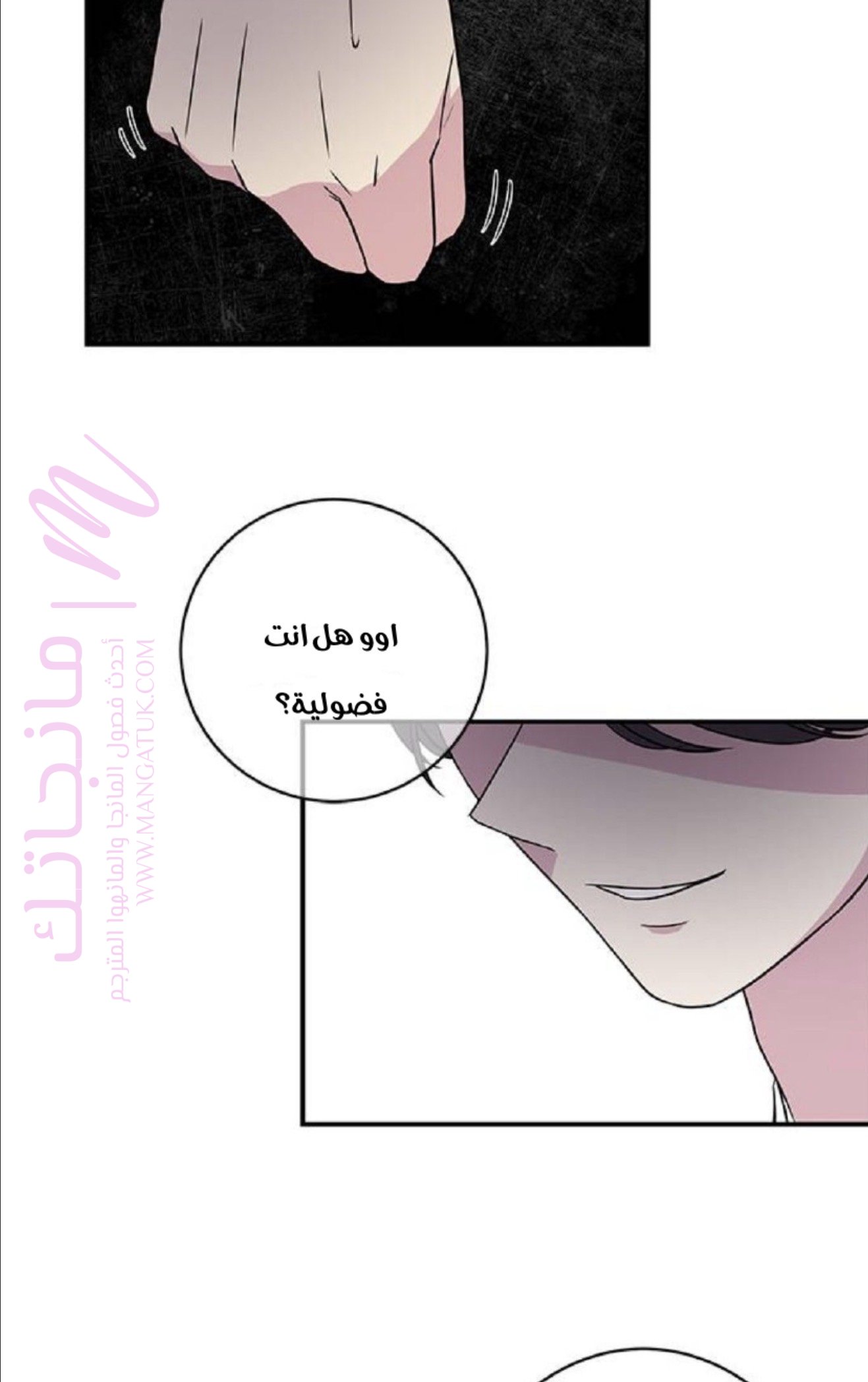الصفحة 26