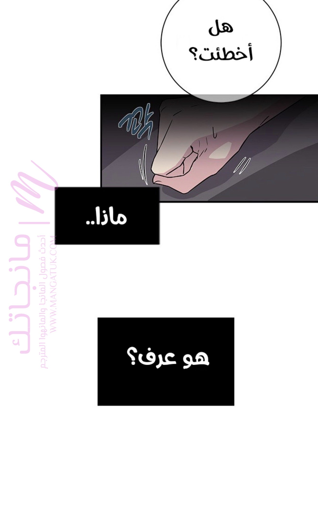 الصفحة 17