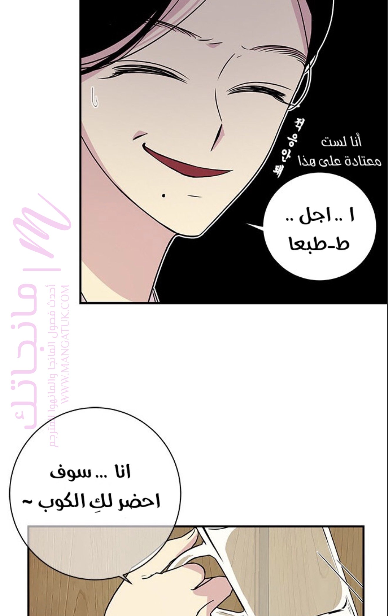الصفحة 43