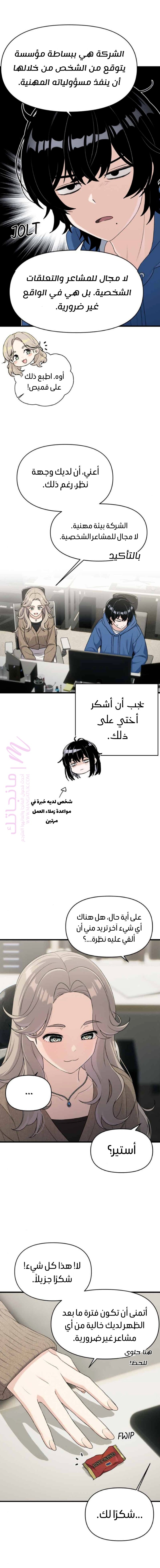 الصفحة 11