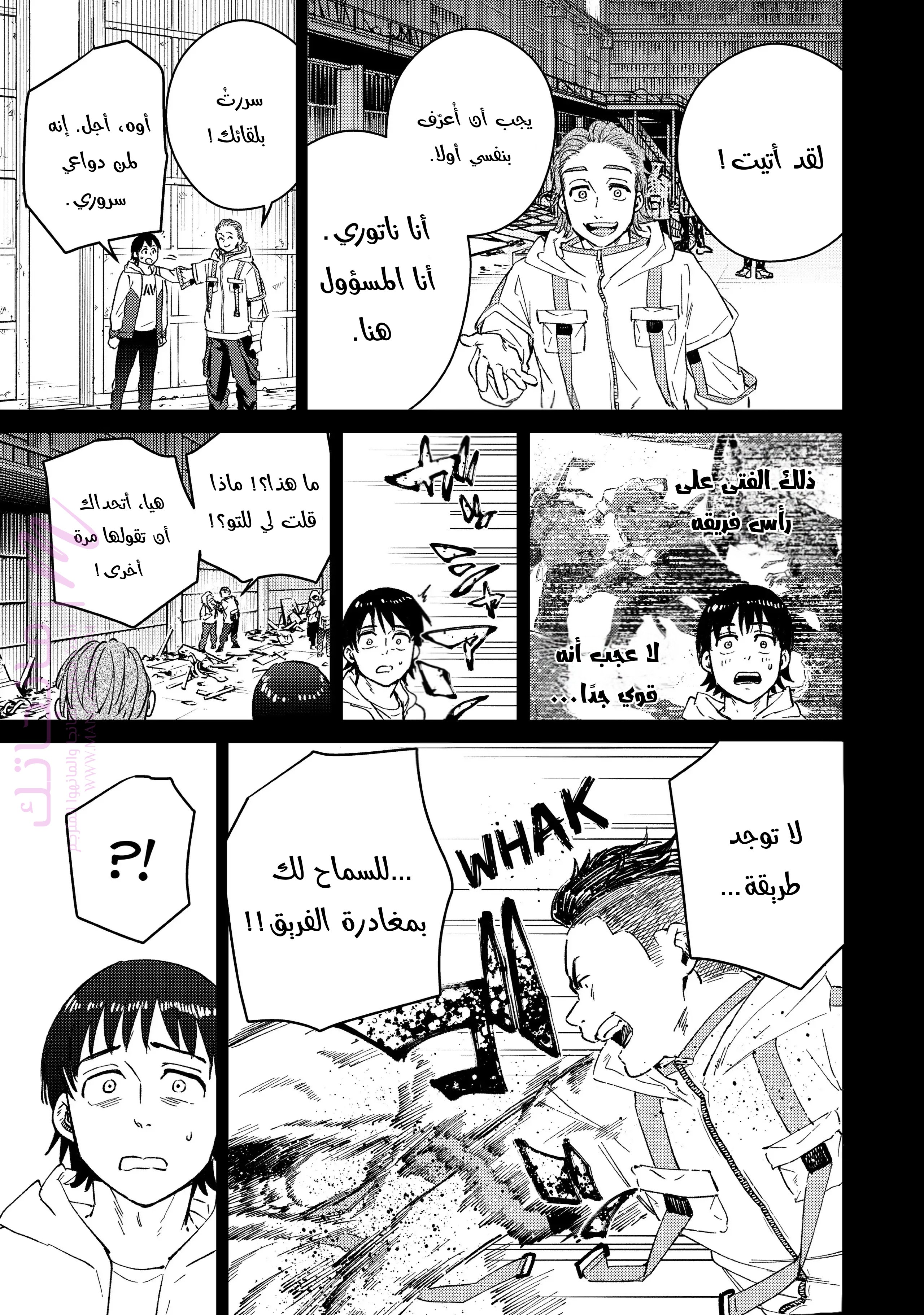 الصفحة 11