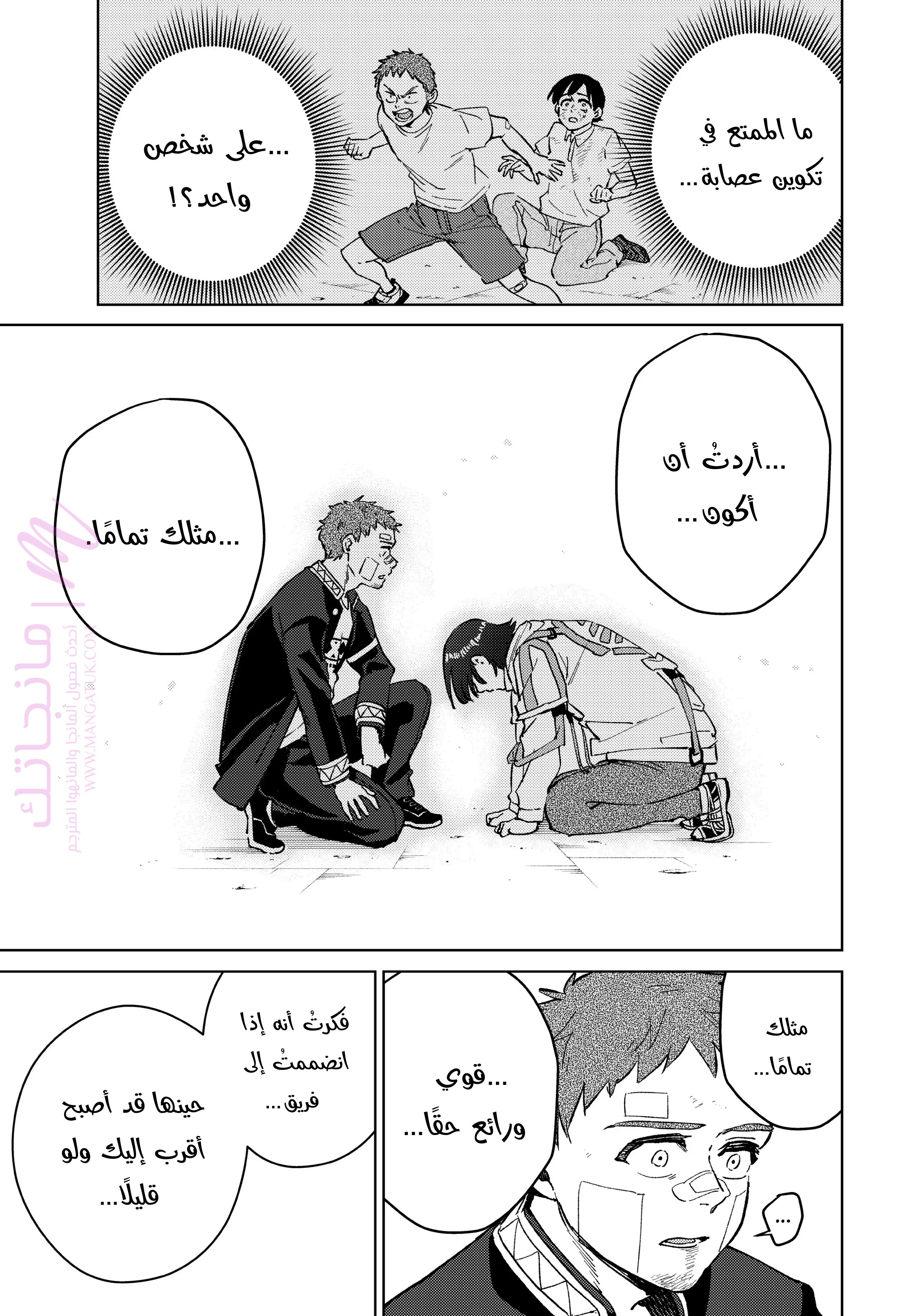 الصفحة 19