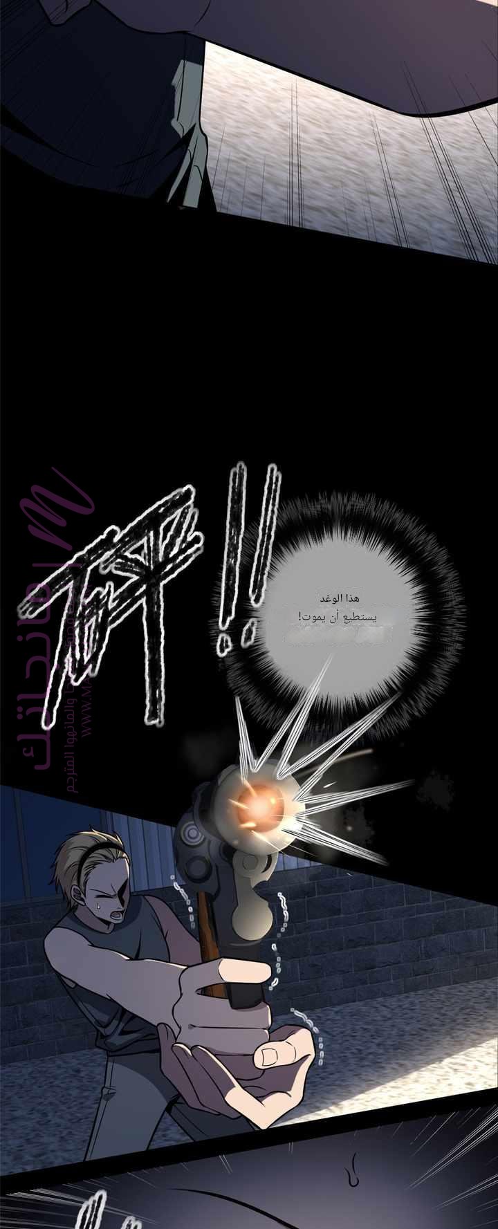 الصفحة 19
