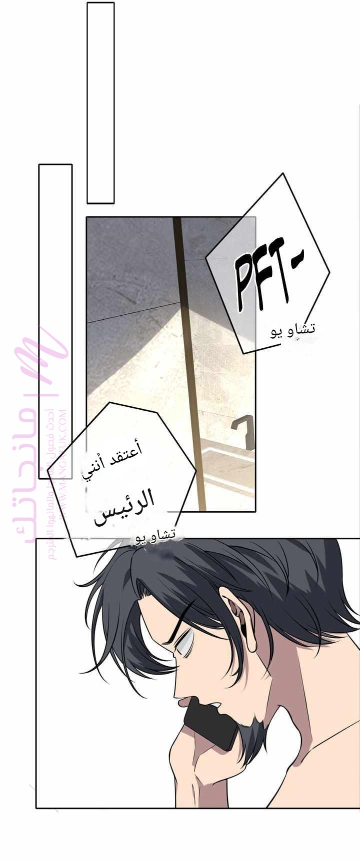الصفحة 13