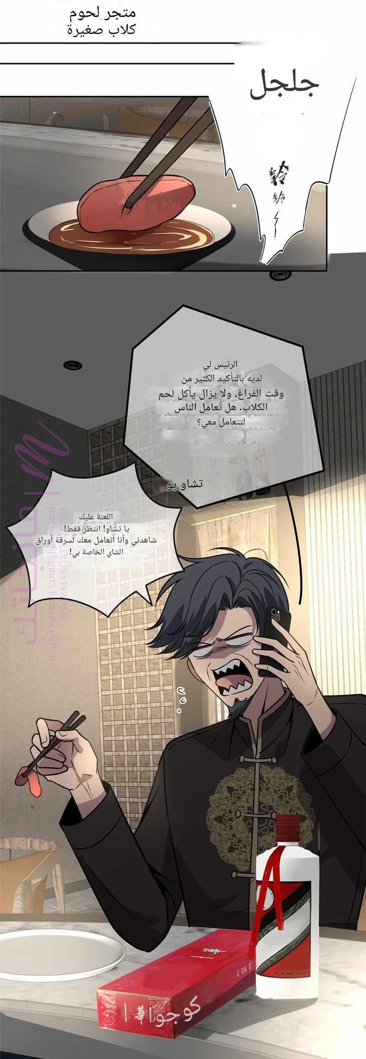 الصفحة 9
