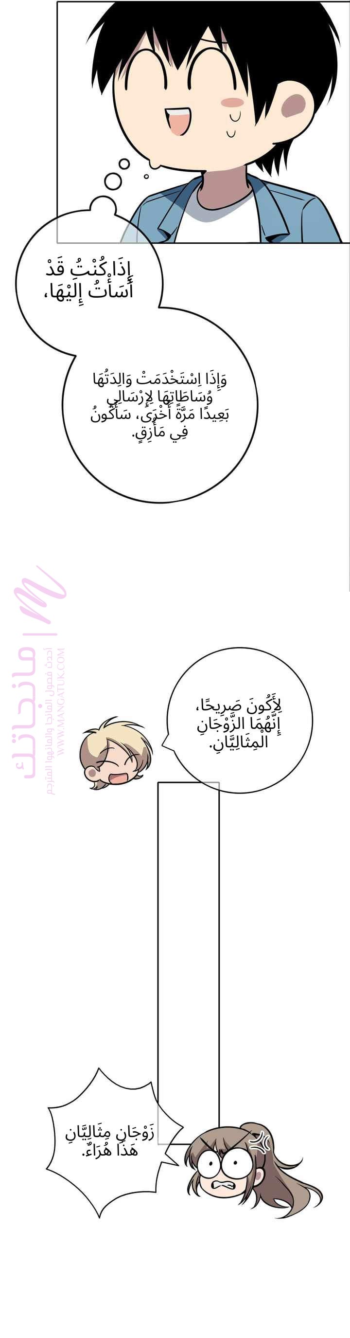 الصفحة 17