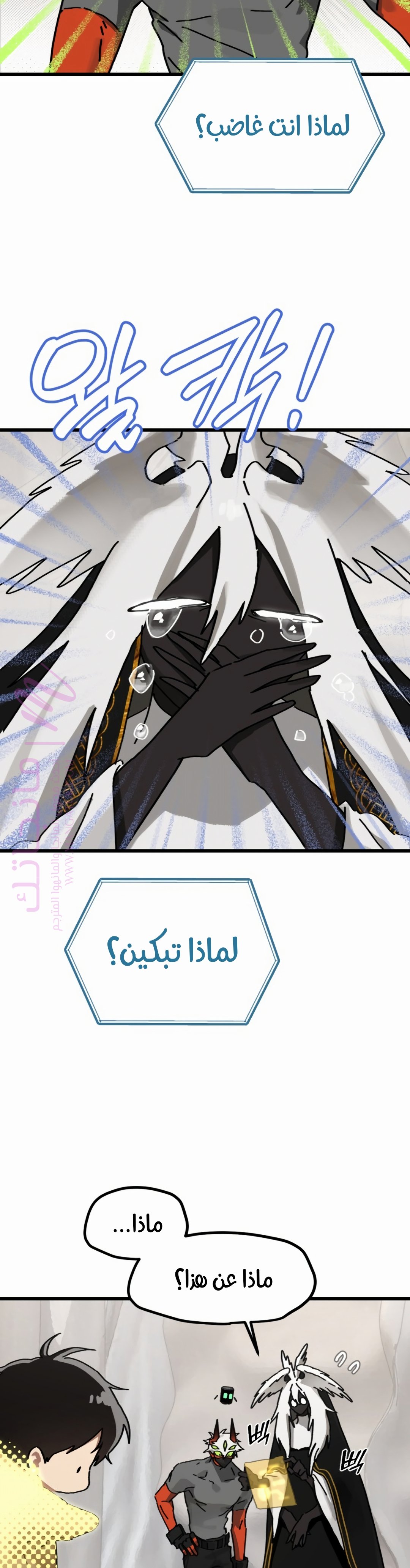 الصفحة 12
