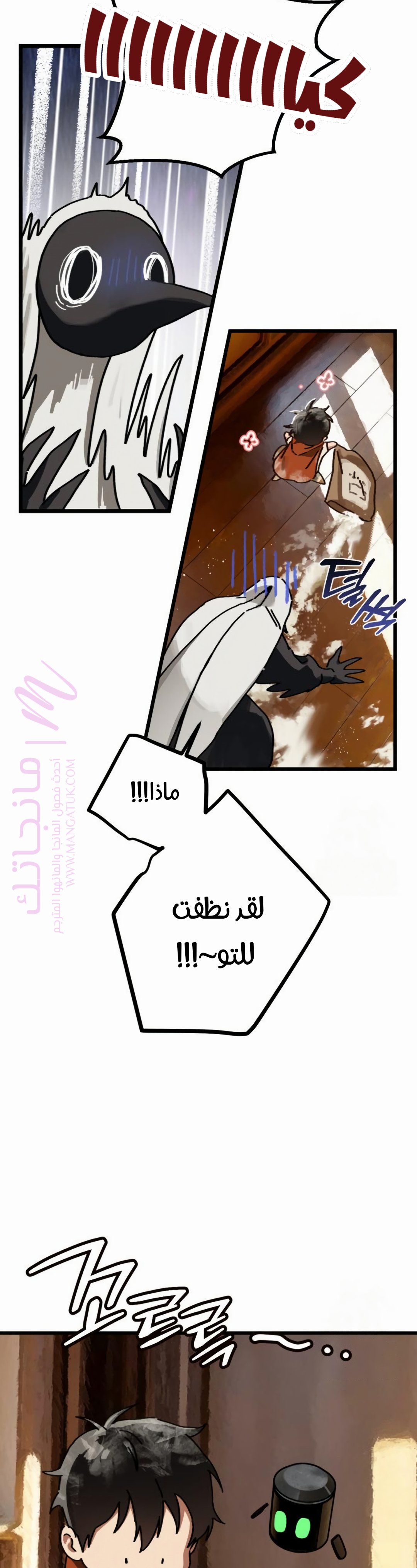 الصفحة 13