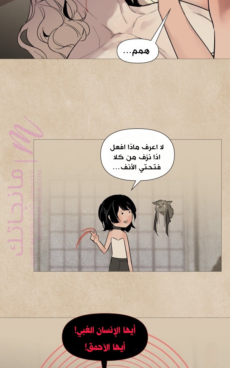 الصفحة 7