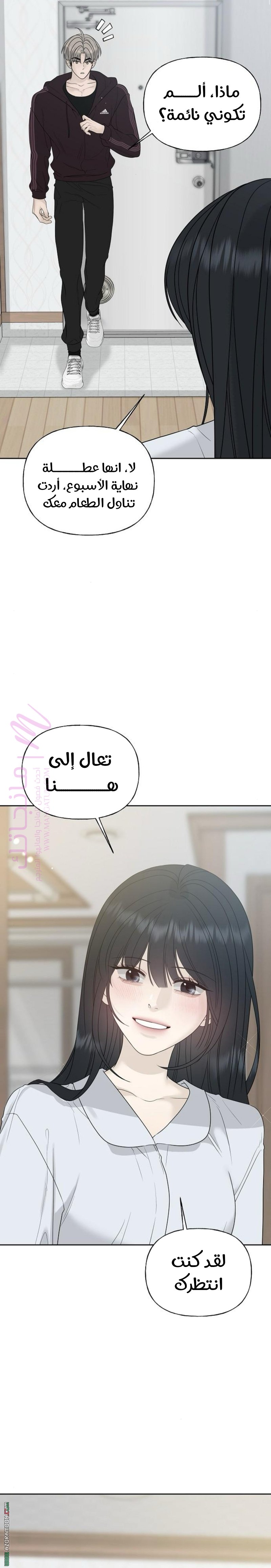 الصفحة 19