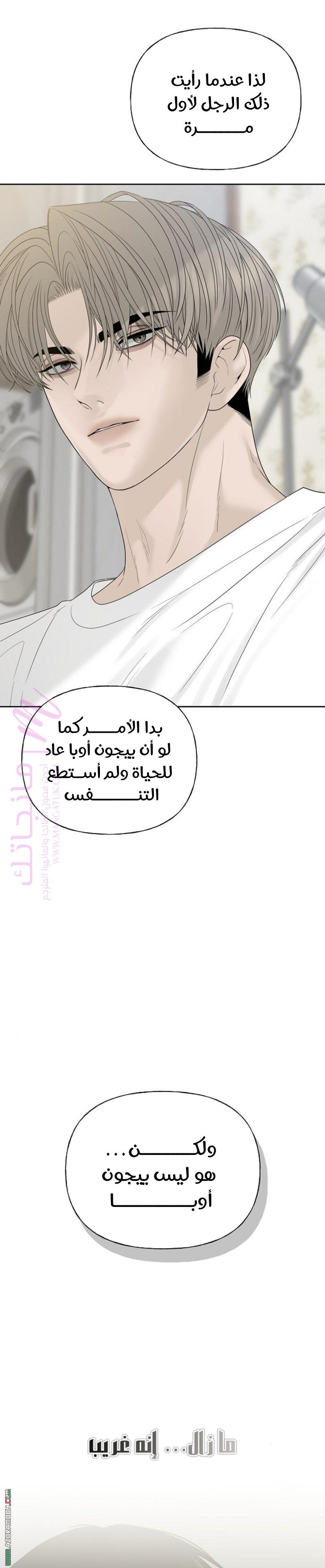 الصفحة 31