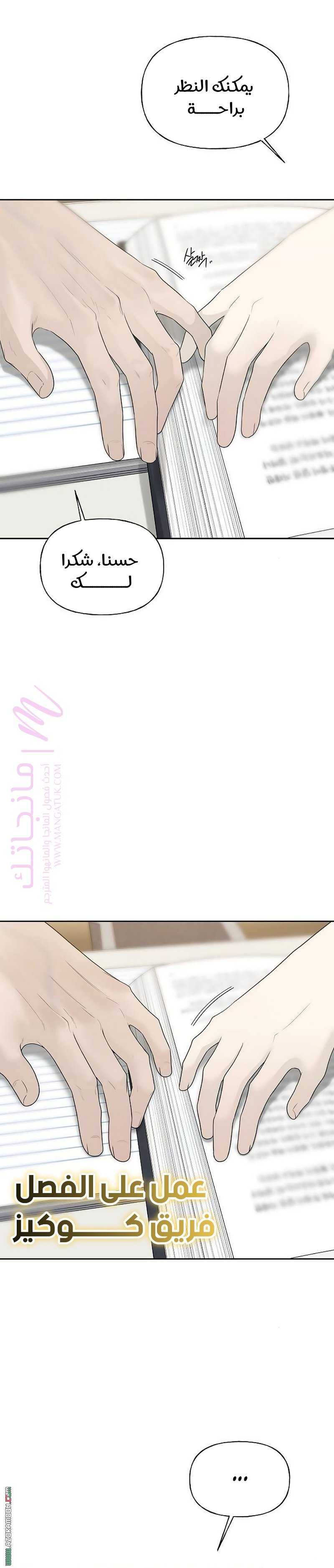 الصفحة 17