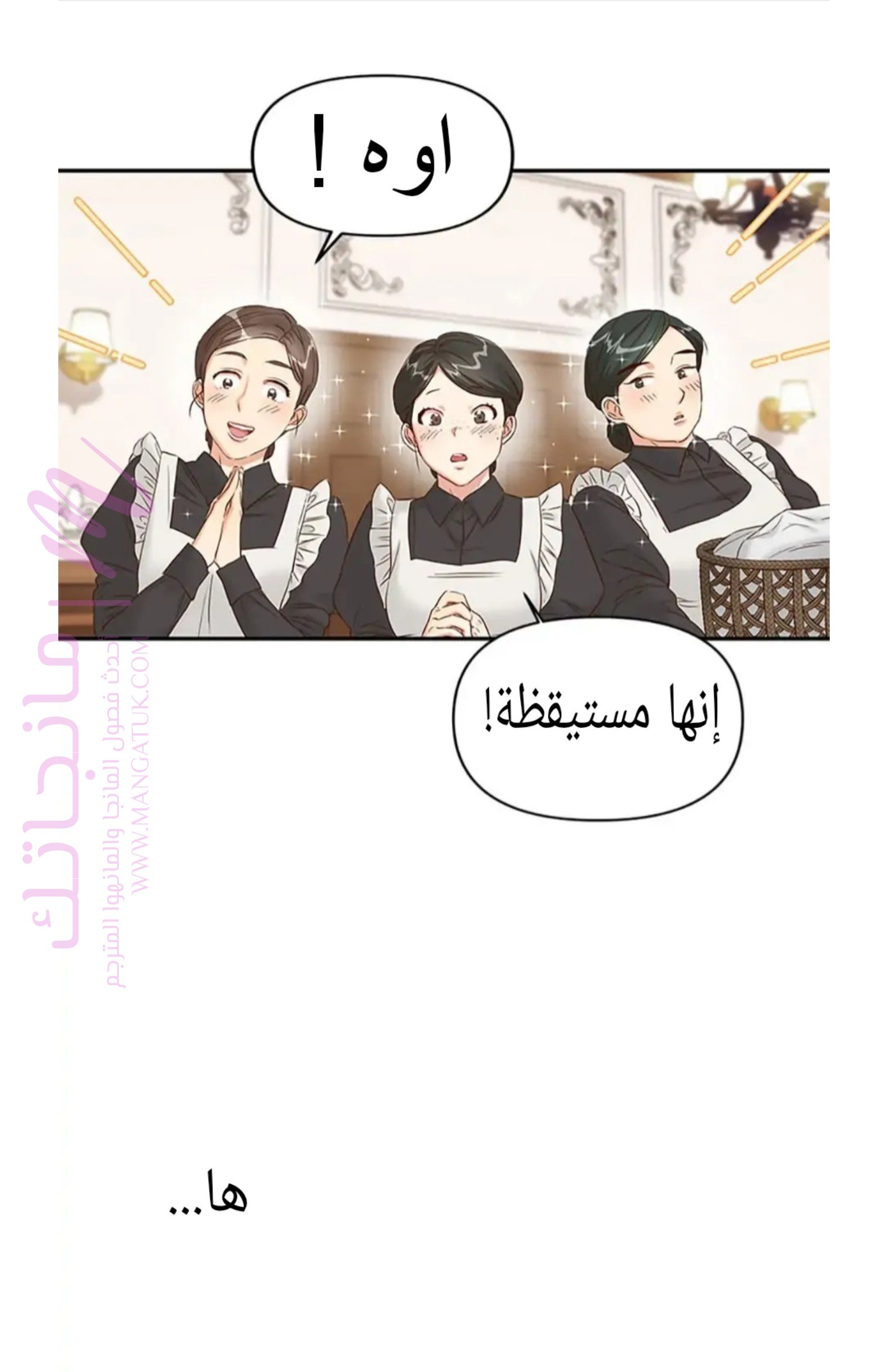 الصفحة 46