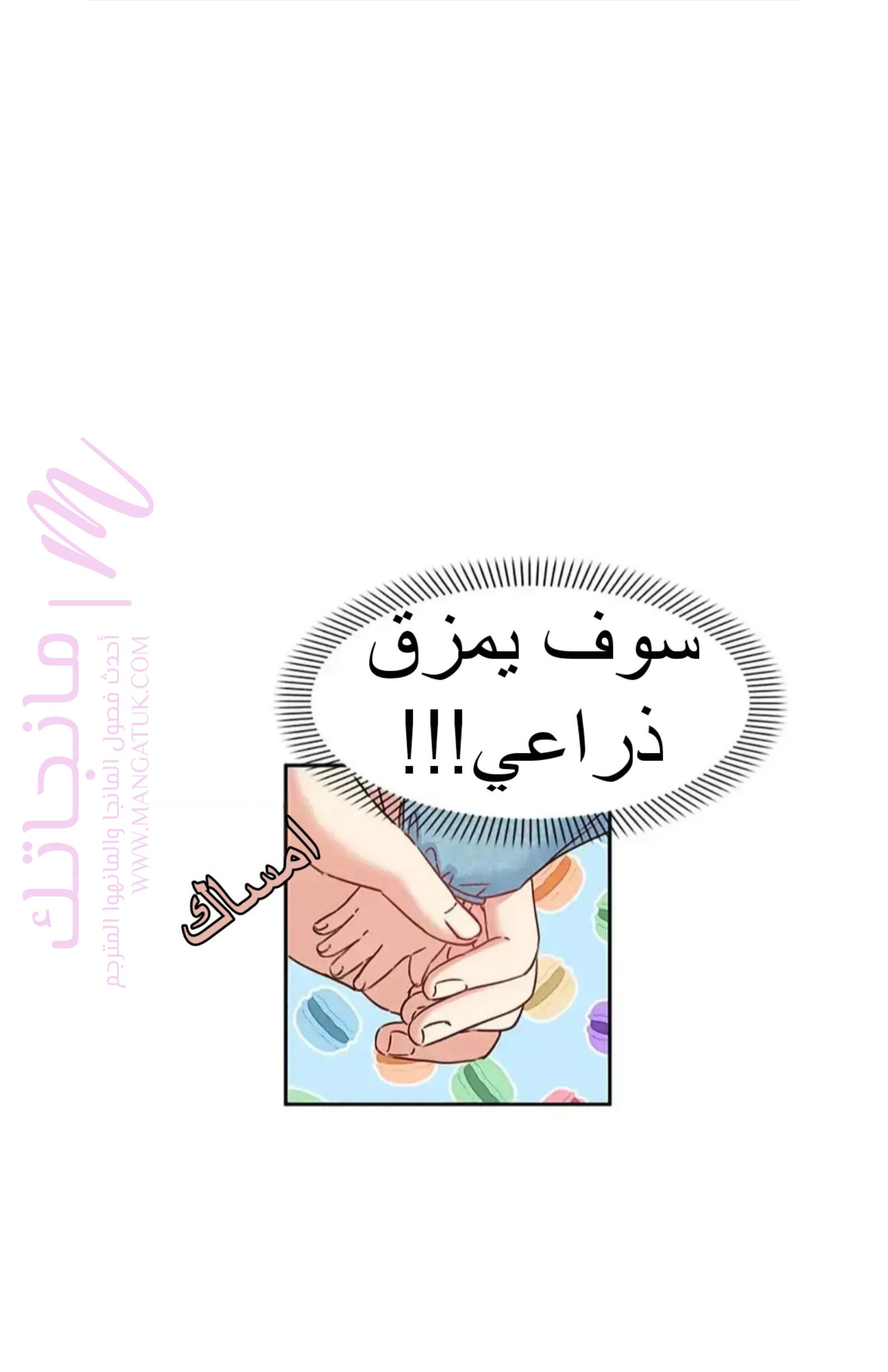 الصفحة 17